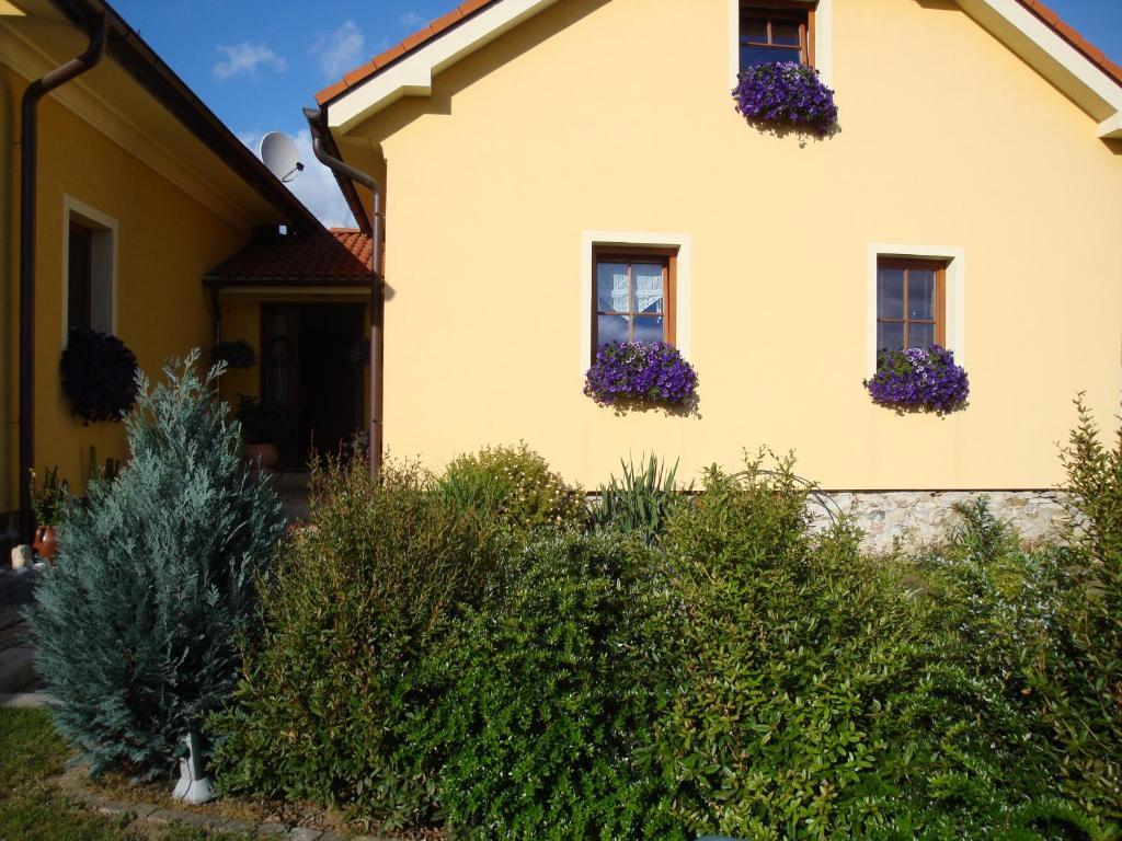 Apartman Augsten Cesky Krumlov Exterior photo